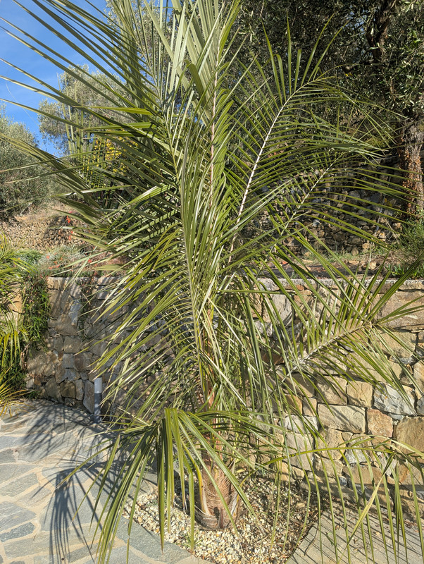 PXL 20251103 122817890 MP