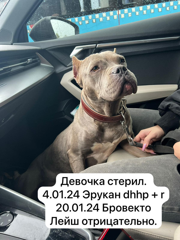 WhatsApp Image 2024-01-24 at 10.50.27 (1)