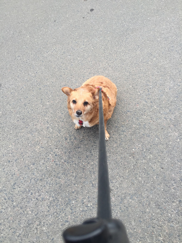 DFB9E3F2-A2B0-4118-A968-A723B5EB7561