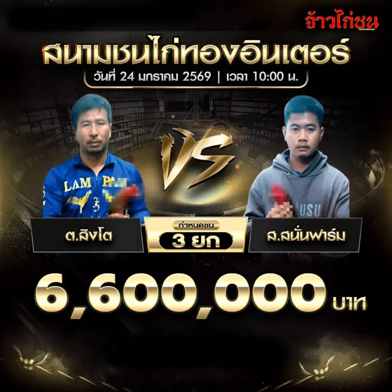 โปรแกรมไก่ชน ต.สิงโต พบ ส.กันฟาร์ม 6.6 ล้าน 3 ยก