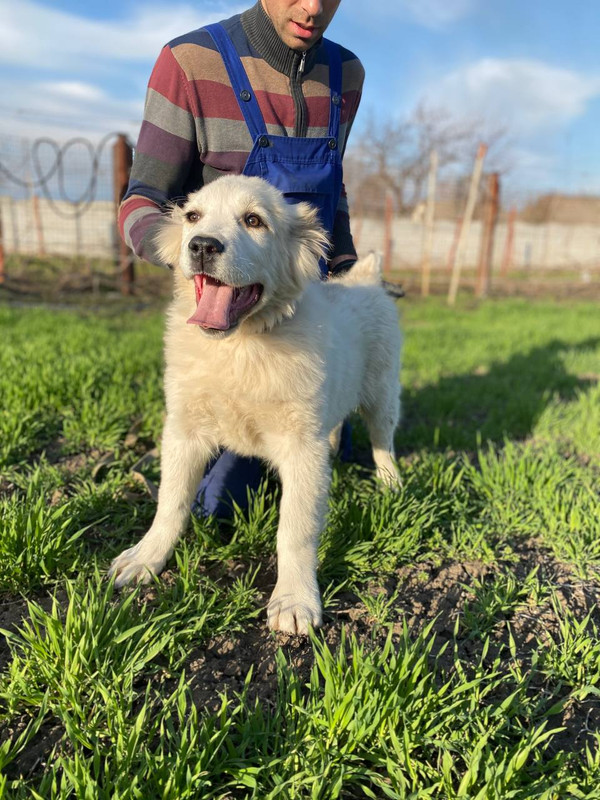 8A3DF992-8B05-4447-85F6-59E945A2001D