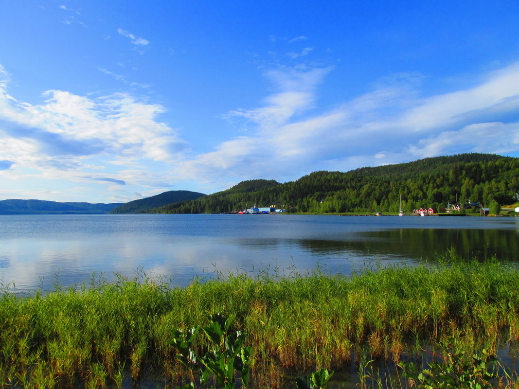 Lac (3)