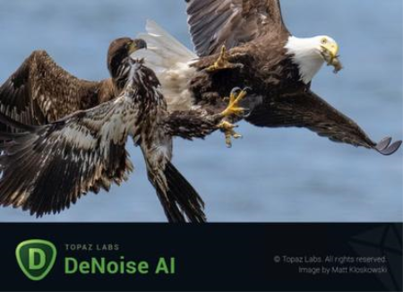 Topaz DeNoise AI 3.6.1 Portable