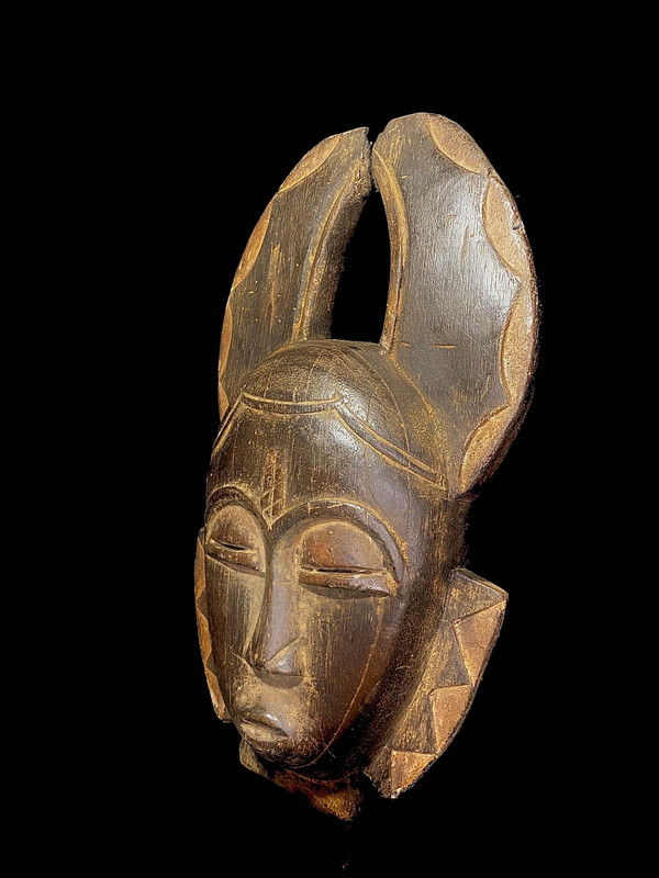 large image 8