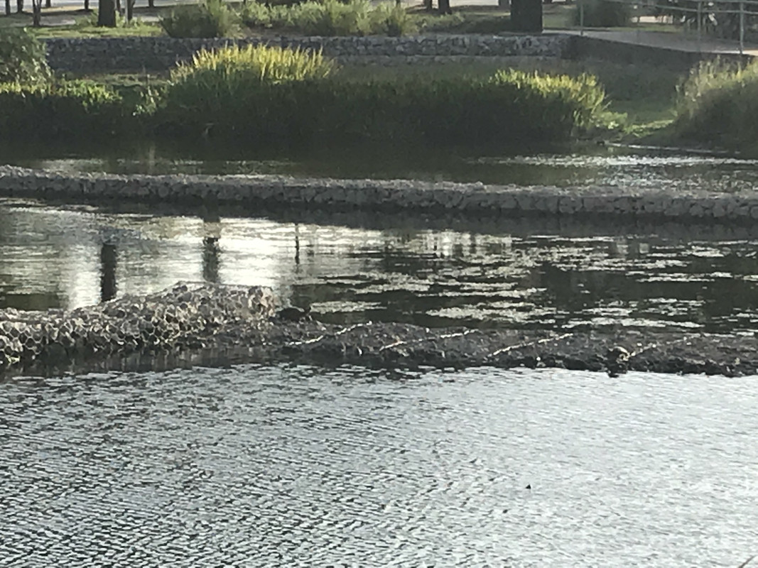 FF334BA3-4949-4A4B-9AC4-1482E8E7F51A