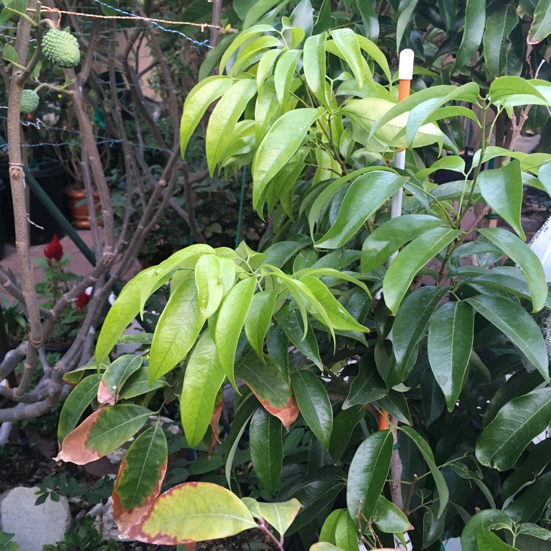 F9883EE3-F4CC-48C8-99B6-54B92A7D02A1