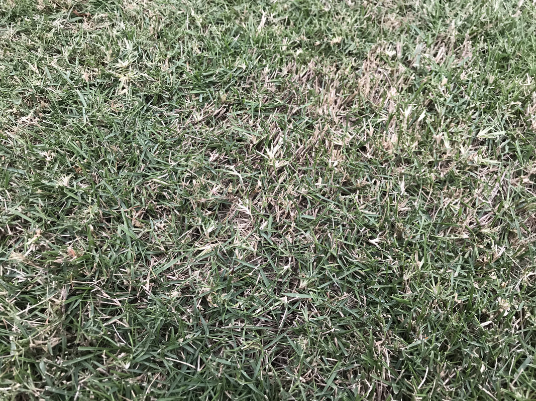 42E9086B-F4F9-455E-A62D-61A60726778D