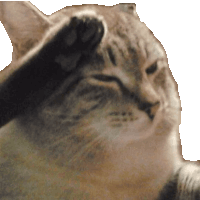 salute-cat.gif