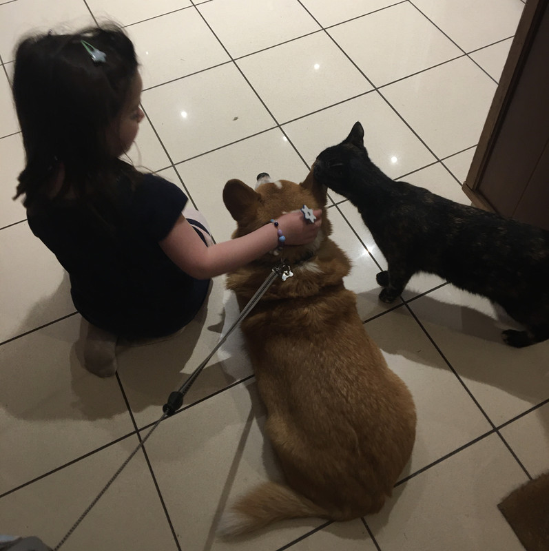 [Image: 3-BBC2-E12-A9-AF-4-FEC-9-C1-C-CA495-E871550.jpg]