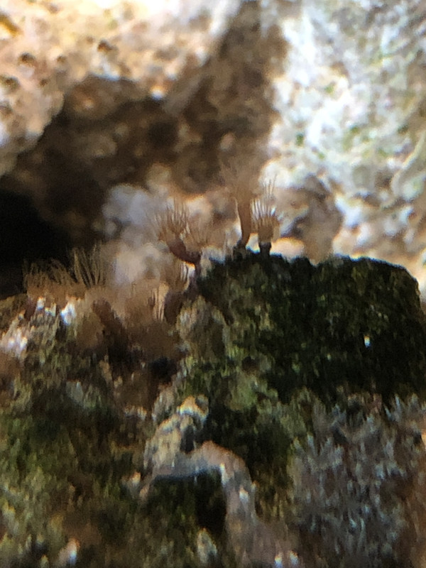 EFCEA2C0-D443-4E46-A61A-C2B7953D35E5