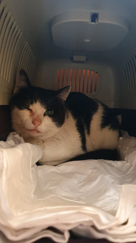 74D51F64-E4E8-4349-8D2C-AAFC7CA854AF