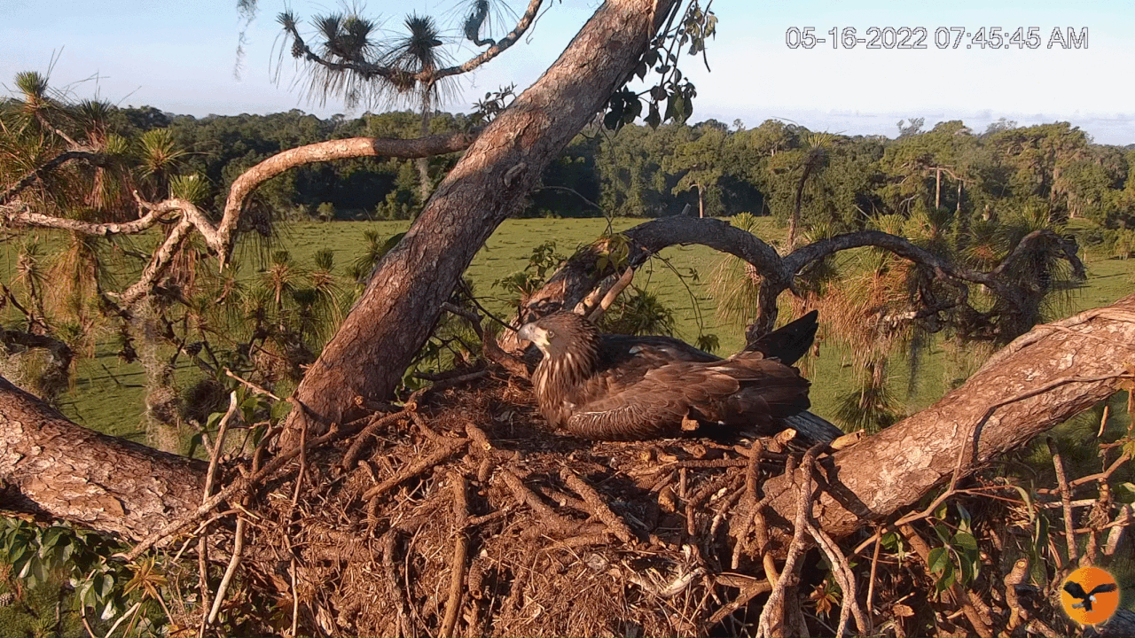 Webp.net-gifmaker (3)