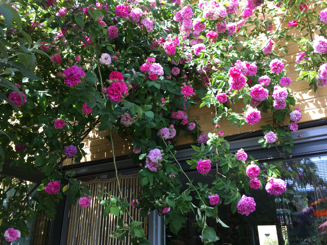 7DC8F00E-044D-4EEC-BE32-2430D65EA49E