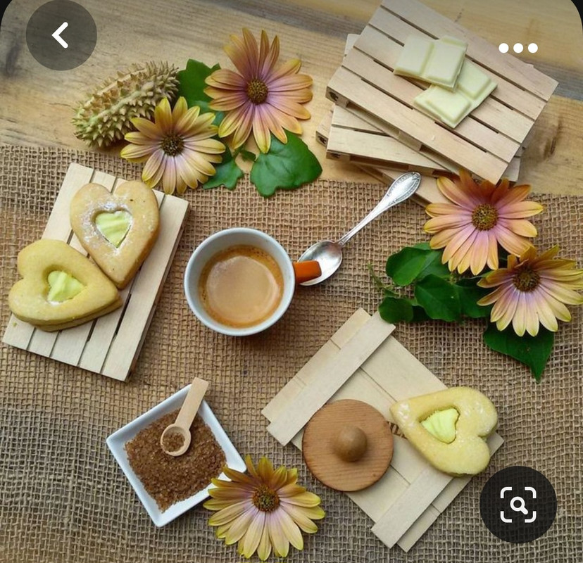 Screenshot_20230928_234138_Pinterest