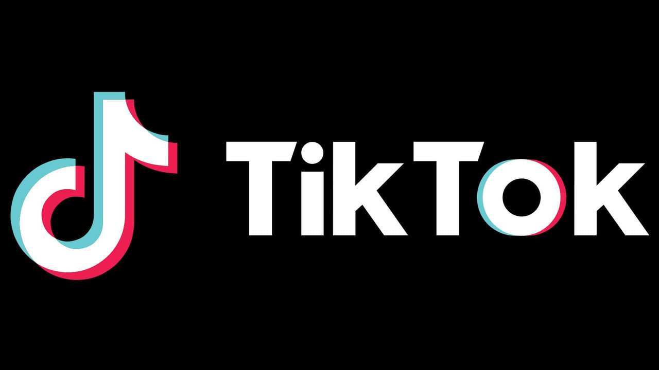 Dos loros causan furor en Tik tok al