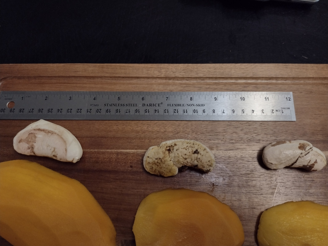 IMG_20210602_191806411_HDR