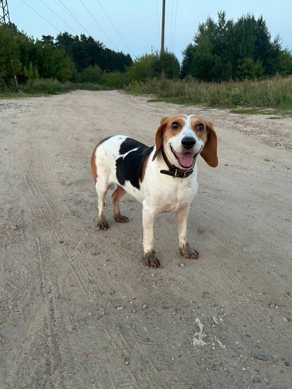 Alma esti happy now 082023