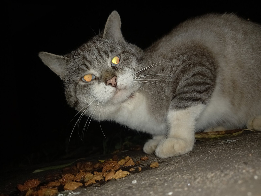 F16F6630-B924-4C5C-AABA-F64363A5BF3F