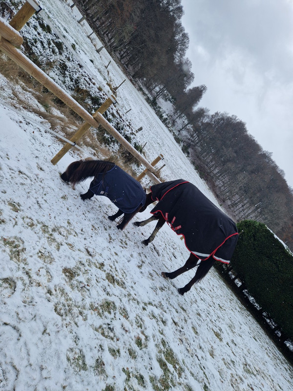 Resized 20251121 134414