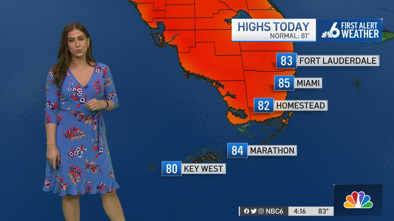 03.29 - 21.00.00 - NBC 6 News at 4 00 p.m..ts_snapshot_00.17.39.964