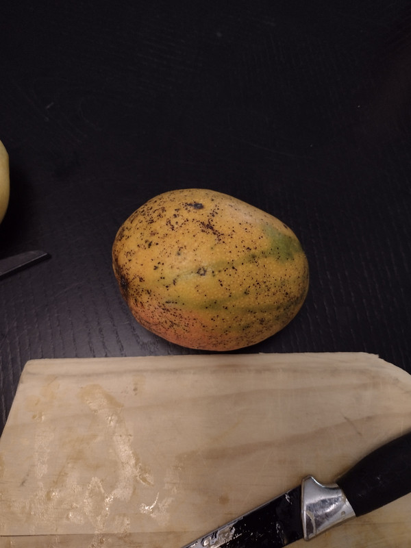 IMG_20210531_114953368_HDR