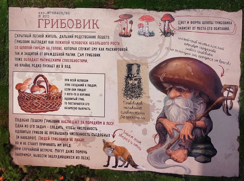https://i.postimg.cc/K8KVYgVV/196-IMG-20250128-152813.jpg