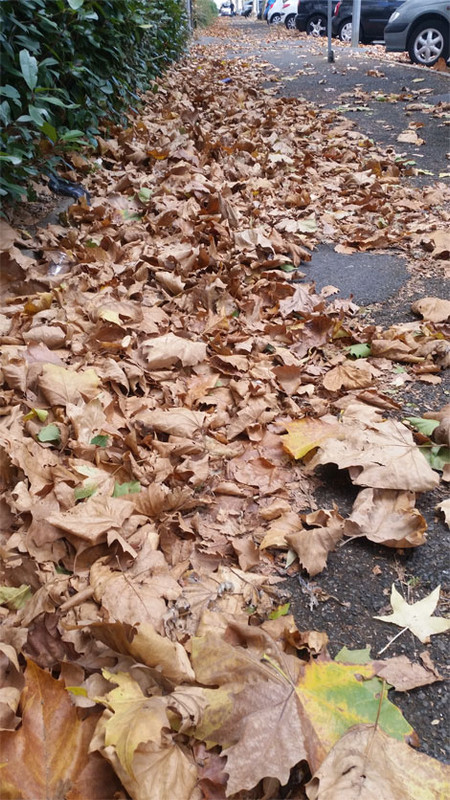 [Image: y20180924_150417.jpg]