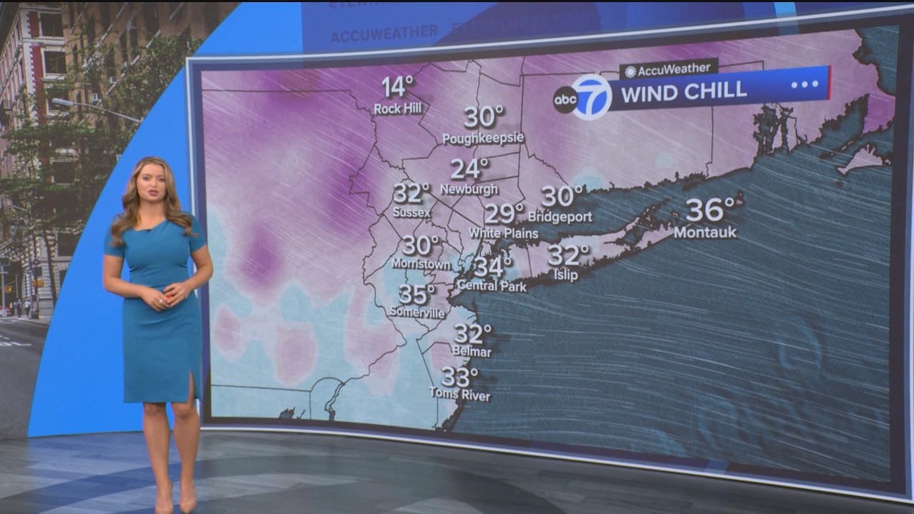 Eyewitness News Mornings at 10_20250307_15001600.ts_snapshot_18.47.398