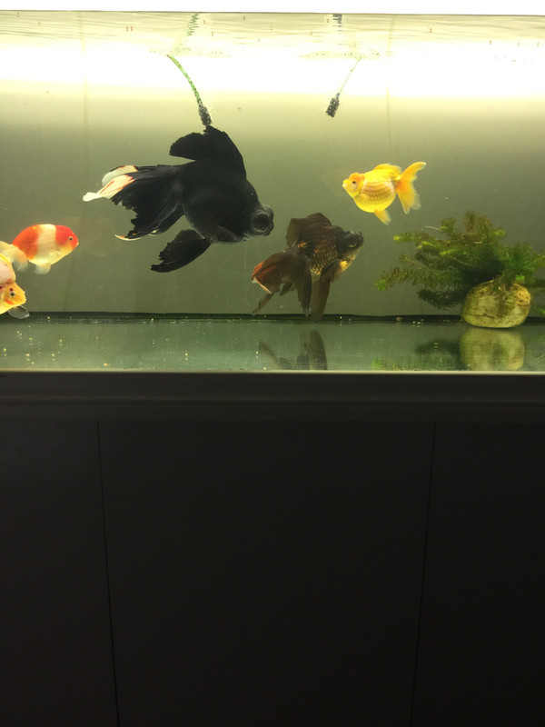 0588AF7F-BC14-4AA7-9984-F7DF9647646C