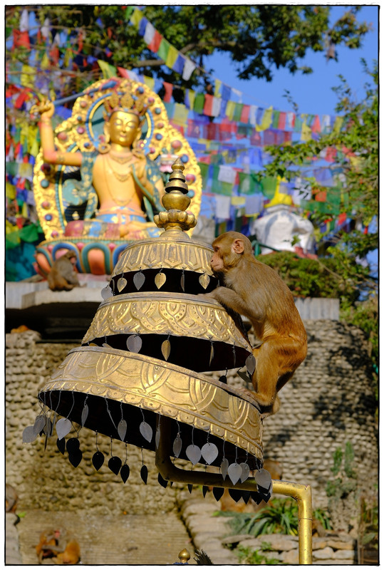 Kathmandú (II) - Trekking en Nepal: Annapurna Circuit y Mardi Himal (4)