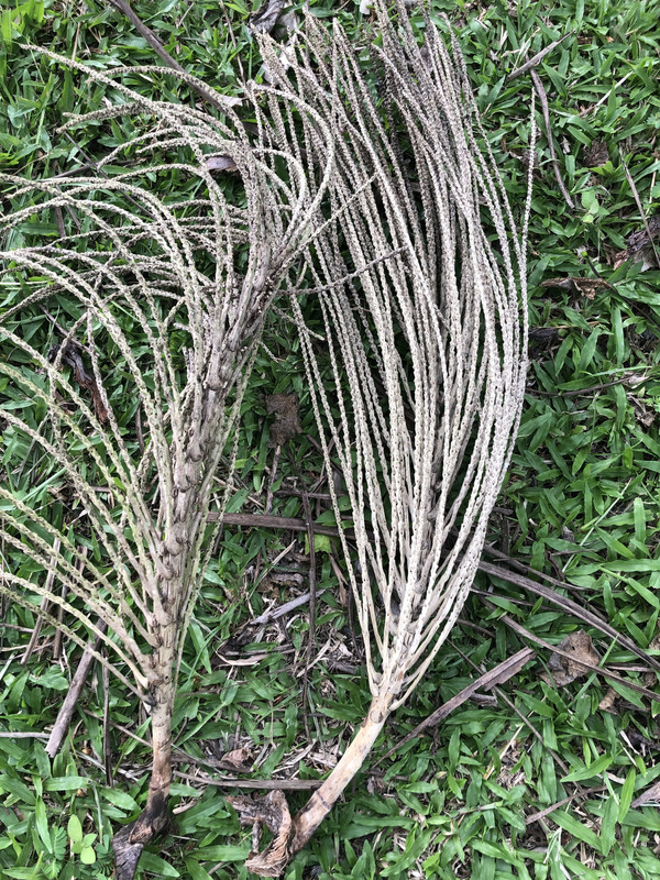 D101C7C8-E7C2-475F-86BA-A5E2642EF1C3