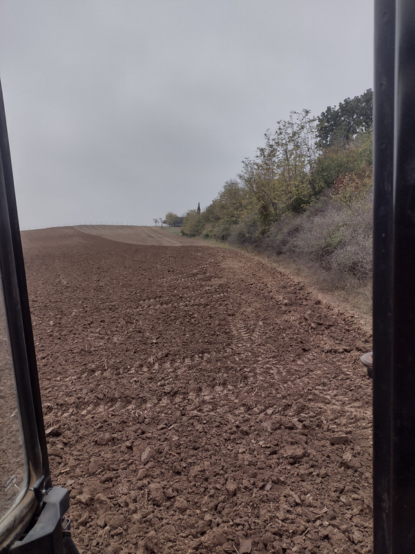 IMG-20221102-153850776-HDR.jpg