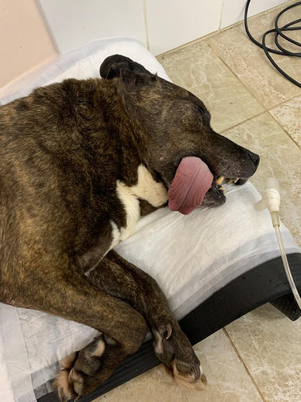 WhatsApp Image 2023-02-02 at 18.37.07 (1)