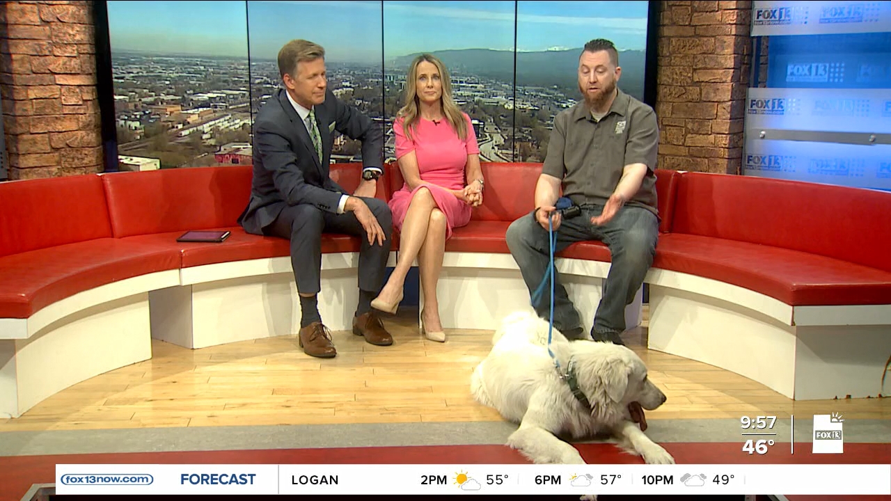 FOX13 News Good Day Utah 9AM_20240419_16001700.ts_snapshot_57.48.230