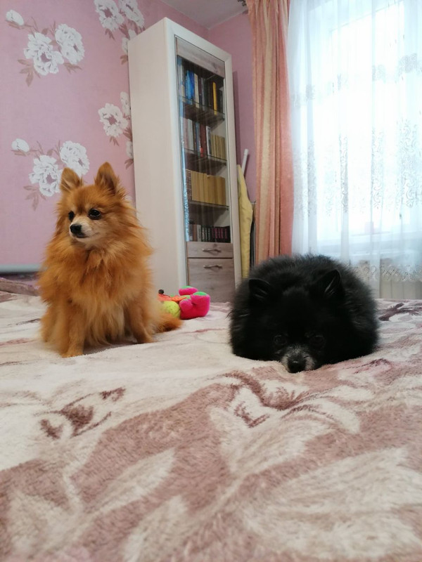 00E35684-5D26-40D3-814F-F1984F4C1666