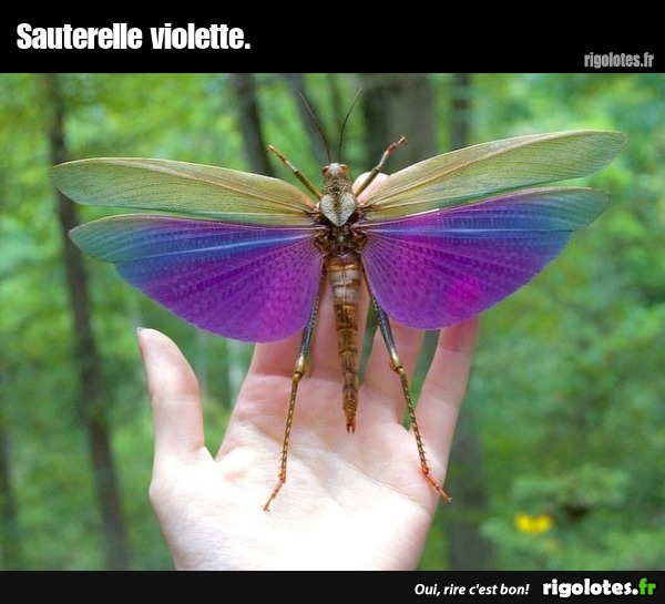 Qu'avez vous appris aujourd'hui ?