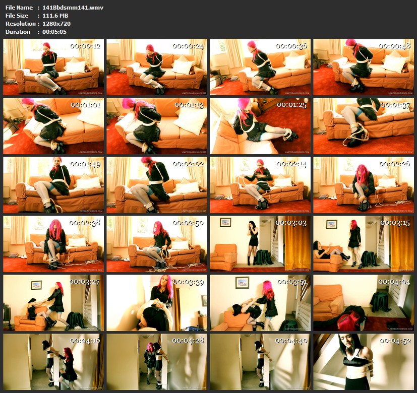 141Bbdsmm141.wmv