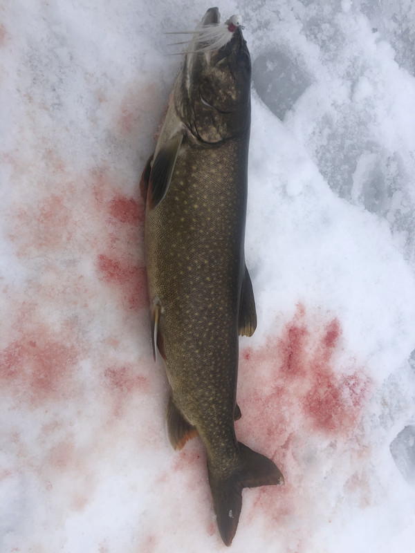 CEF6A4E6-F2F8-4C7C-AB98-76A6394CDCD1