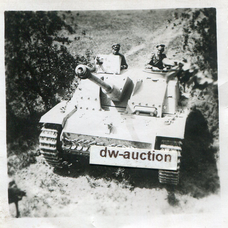 Sturmgeschütz im Gelände mit Langrohr (2)