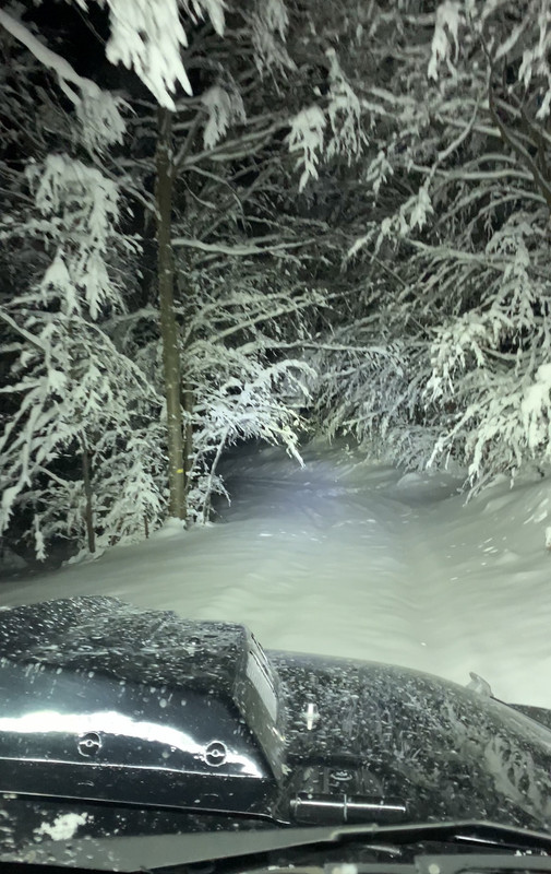 40800D18-84DE-43BC-A5D0-ADB570602C95