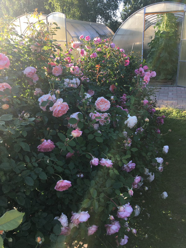 60106B09-DE56-4F11-84AB-DA51BC50888A