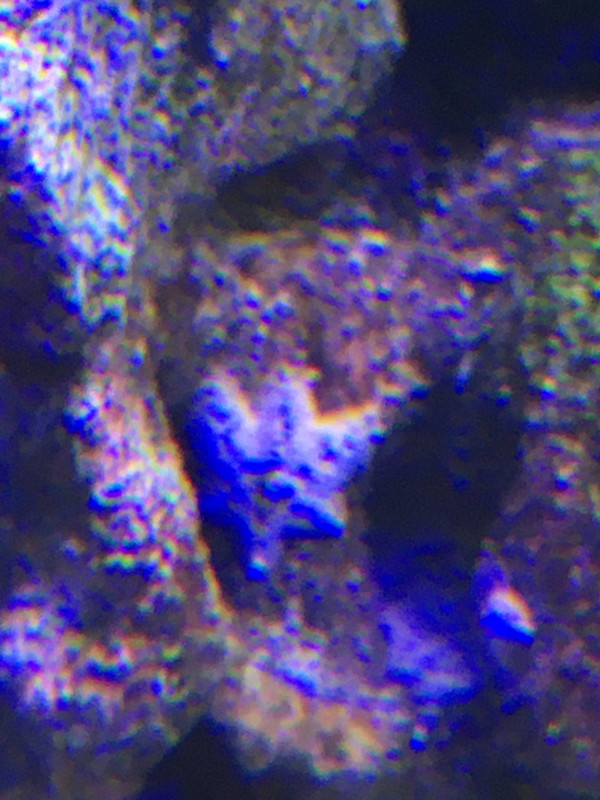 64B9D088-3FCF-40C5-B5F6-DD5923FC3CA2