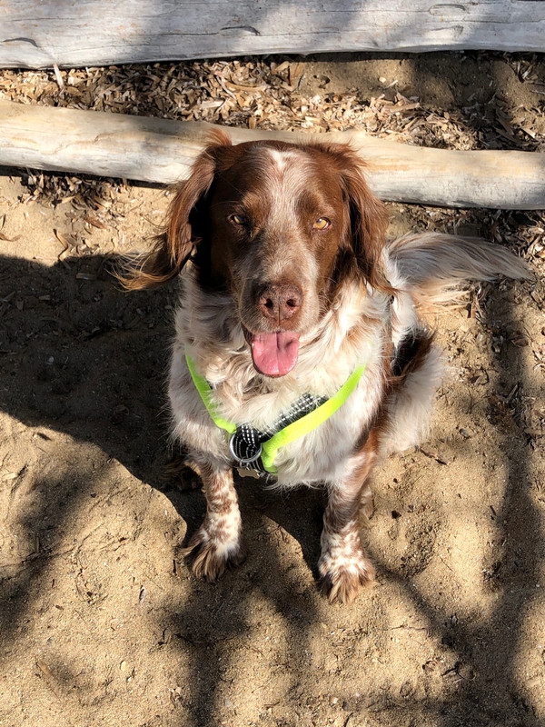 2A3A648A-8A4B-48D4-A07F-6374E56A5017