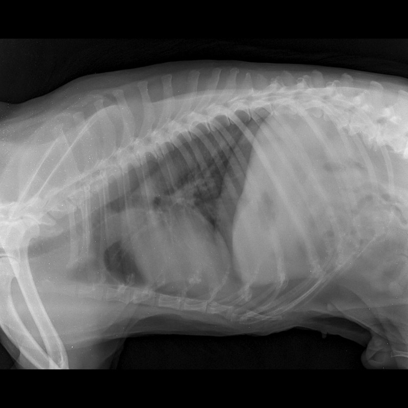 изображение_viber_2020-09-16_18-36-46