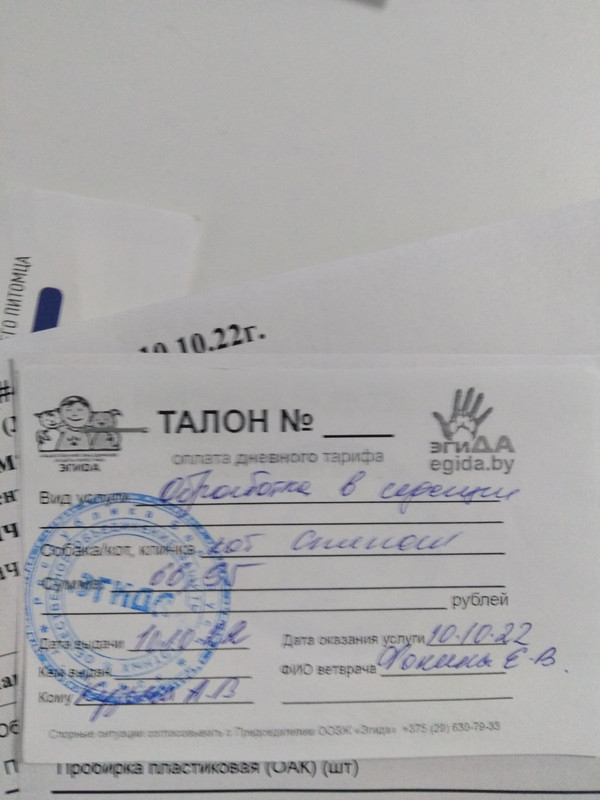 изображение_viber_2022-11-10_16-45-31-953