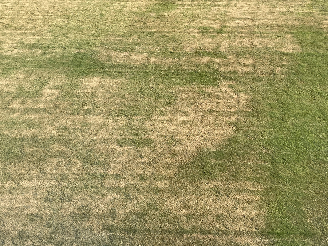 FE352564-A0B1-4B32-8A93-A0C6971B4B1D