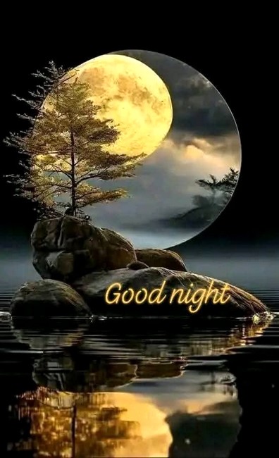 62a1bc494acac2e45fa1ef4c4b3d842f