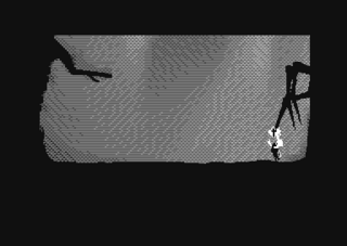55