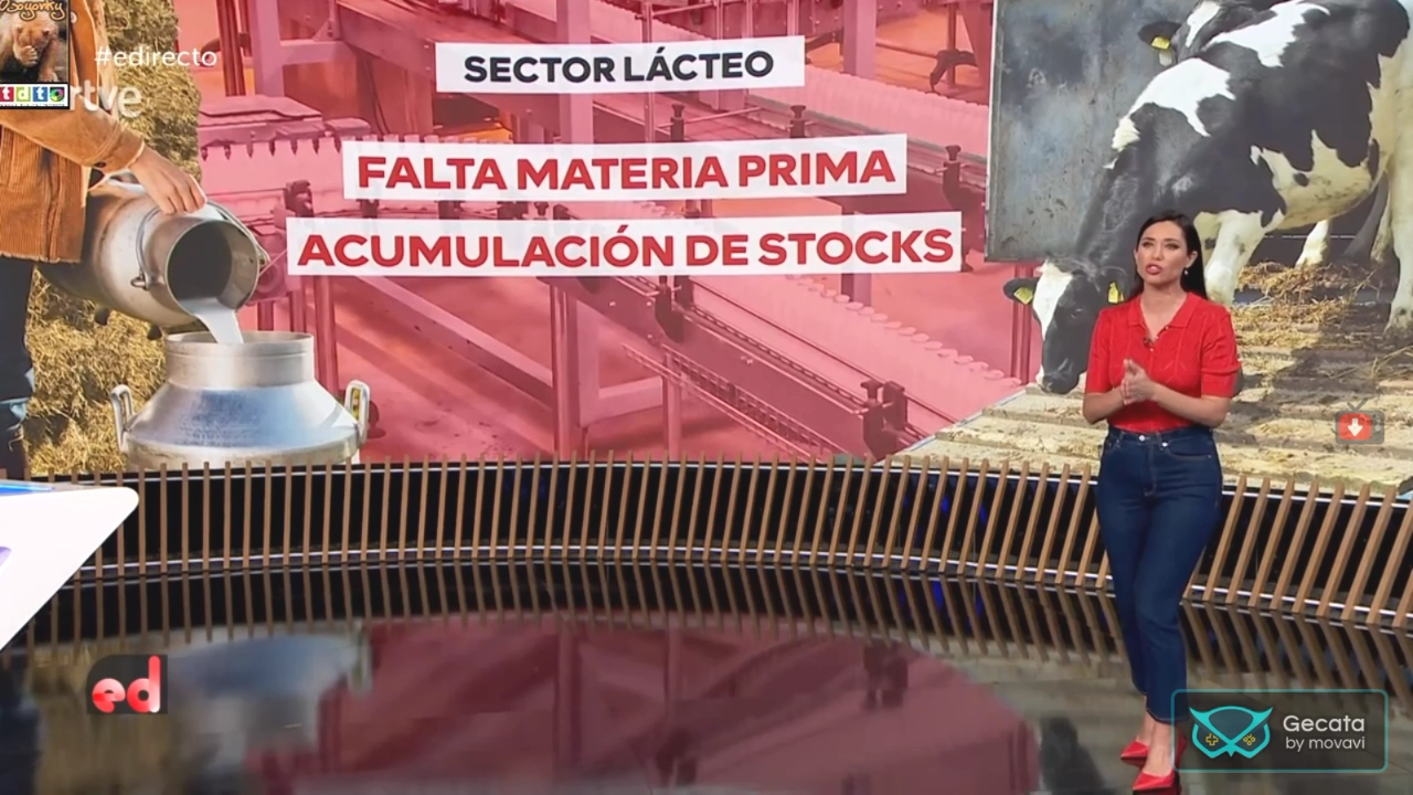 aranchabellovarios12_oso4eeeewqeyyyyyyy