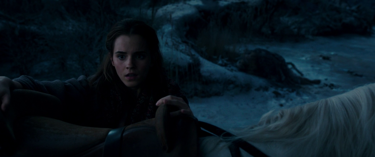 vlcsnap-2017-07-25-23h17m38s286